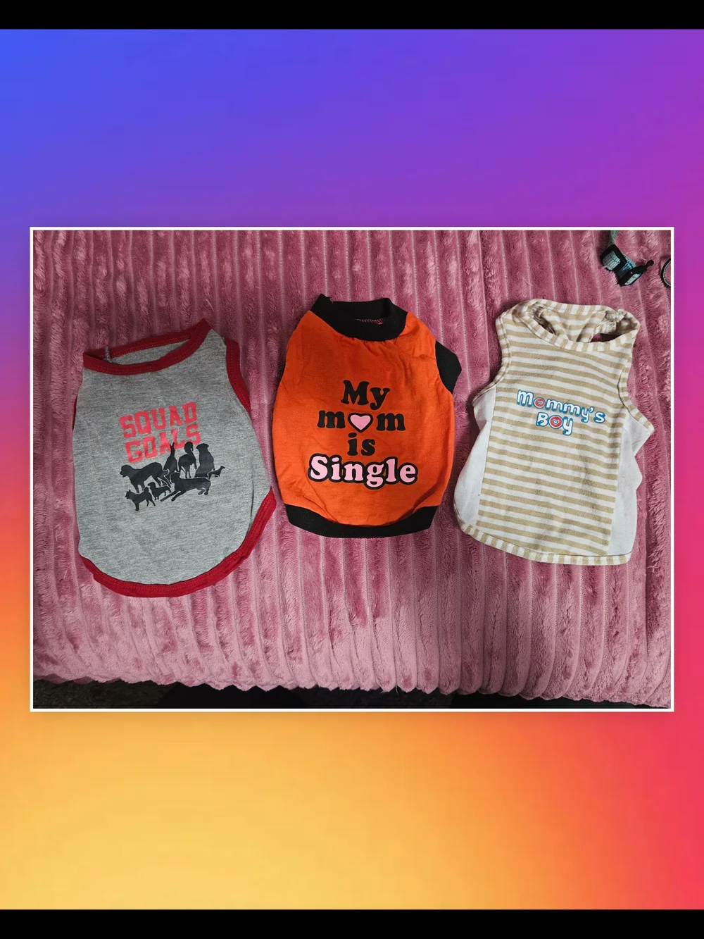 Dog Tshirts